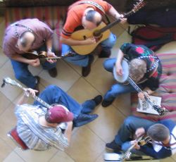 Bluegrass artists use a variety of stringed instruments to create a unique sound.