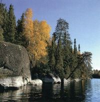 Lake-side cliffs common throughout the BWCAW