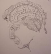 A sketch of the human brain by artist Priyan Weerappuli, imposed upon the profile of Michaelangelo's David
