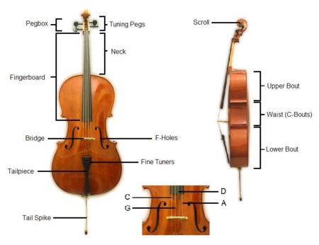 The construction of a cello