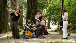 Music in Central Park, a public space