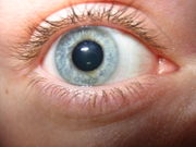 Contact lenses, once inserted in the eye, become almost invisible (except cosmetic contact lenses).