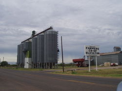 Farmers' grain Co-op in Crowell, TX.