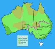 Shows areas of pure dingoes (light brown) and hybrids (green), and location of the Dingo fence (purple) 