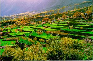 The Valley of Hunza in Pakistan.  —  Agricultural and scenic