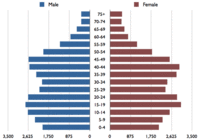 Population pyramid for El Hatillo Municipality based on data from 2000.