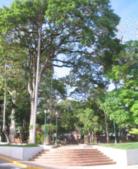 Bolívar Square, the heart of El Hatillo.