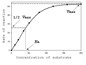 Saturation curve for an enzyme showing the relation between the concentration of substrate and rate.