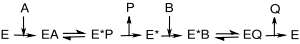 Ping–pong mechanism for an enzyme reaction. Enzyme intermediates contain substrates A and B or products P and Q.