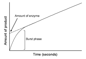 Pre-steady state progress curve, showing the burst phase of an enzyme reaction.