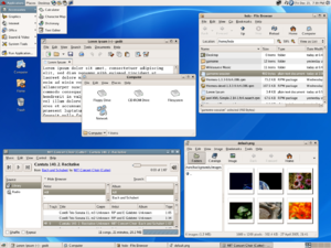 GNOME 2.10 screenshot (on Fedora Core 4) showing Rhythmbox (music player), GThumb (image manager), gedit (text editor), and the Nautilus file manager.