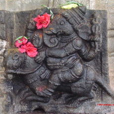 Ganesha riding on his rat. Note the flowers offered by the devotees. A sculpture at the Vaidyeshwara temple at Talakkadu, Karnataka, India