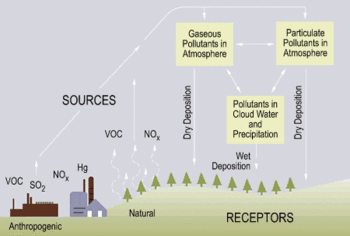 Processes involved in acid deposition (note that only SO2 and NOx play a significant role in acid rain).