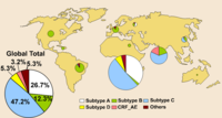 Map showing HIV-1 subtype prevalence. The bigger the pie chart, the more infections are present.