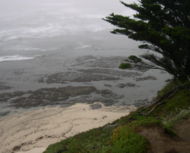 Coastal habitat near the vicinity of Vicente Creek, Moss Beach