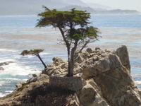 A point on the Monterey Peninsula, that Viscaino mapped