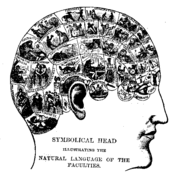A typical phrenology chart that shows the modules as precise physical locations on the brain