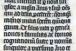 The language of Rome has had a profound impact on later cultures, as demonstrated by this Latin Bible from 1407 AD.