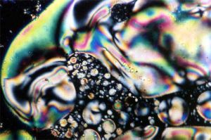 Schlieren texture of Liquid Crystal nematic phase