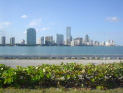 Portion of the Miami skyline as seen from Key Biscayne