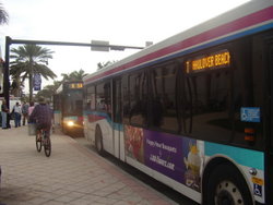 Miami-Dade County Transit Buses in Miami Beach, Florida.