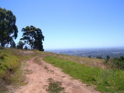 One of Mount Osmond's walking trails - this land is owned by the highways department and was going to be used for a possible alternative route to the South Eastern Freeway in the 1960's. Mount Osmond Golf Course can be seen to the left.