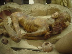 A mummified body displayed in the British Museum.