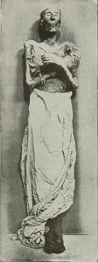 Mummy of Pharaoh Ramesses II