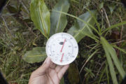 Temperature and humidity readings taken along the "Nepenthes rajah Nature Trail" at around 11 am during an overcast sky