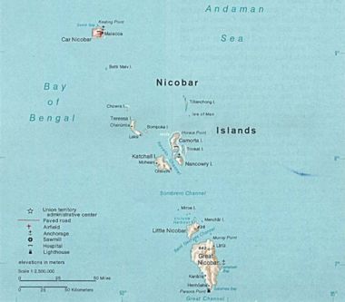 The Nicobar Islands, three of which – Great Nicobar, Little Nicobar, and Katchal Island– provide the natural habitat for these macaques