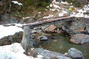 A log bridge in the French Alps near Vallorcine.