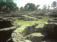 The Cividade in the east of the current city is over 3000 years old. The city's fall was the basis of the novel Uma Deusa na Bruma (A Goddess in the Mist) by João Aguiar.