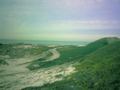 Rocks and sand dunes covered by native vegetation near Cape Santo André.