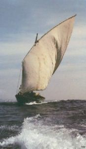 Lancha Poveira is a boat that developed from the Drakkar Viking, but without a long stern and bow and with a Mediterranean sail.