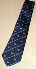 A school tie showing that the pupil is in Wylde.