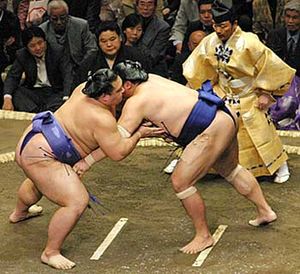 A Sumo match (Ozeki Kaio vs. Tamanoshima in May 2005).