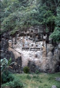 A Torajan tomb in a high rocky cliff. It is one example of tourist attractions in Tana Toraja.
