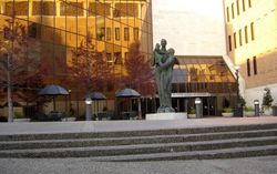 McCombs School of Business.