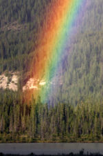 Rainbows like this one are formed by rain drops acting as a natural prism.