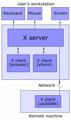 In this example, the X server takes input from a keyboard and mouse and displays to a screen. A web browser and a terminal emulator run on the user's workstation, and a system updater runs on a remote server but is controlled from the user's machine. Note that the remote application runs just as it would locally.