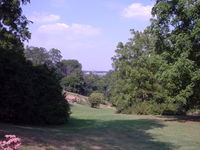 Ann Arbor's many trees are the result of a reforestation campaign in the early 20th century.