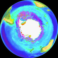 Krill distribution on a NASA SeaWIFS image - the main concentrations are in the Scotia Sea at the Antarctic Peninsula