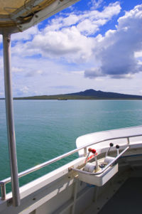 Nearing Rangitoto from Auckland.