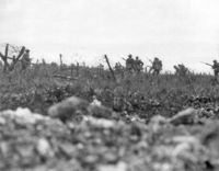 Men from The Wiltshire Regiment attacking near Thiepval, 7 August.