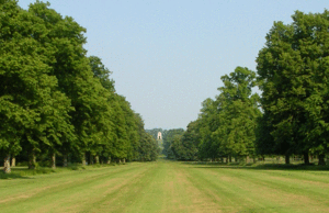 Looking from the east front of the house, along the Eastern Avenue, through the park towards Viscount Tyrconnel's Belmount Tower, a belvedere built circa 1750. During World War I Belton's park was home to the Machine Gun Corps and in World War II the Royal Air Force Regiment were stationed in the park.