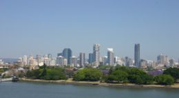 Brisbane central business district with New Farm Park in the foreground.