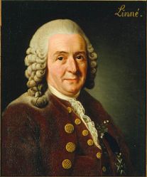 Carl von Linné, Alexander Roslin, 1775. Currently owned by and hanging at the Royal Swedish Academy of Sciences.