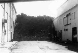 A lava flow nearly 4 months after it had stopped flowing into a street - photographed 23 July 1973