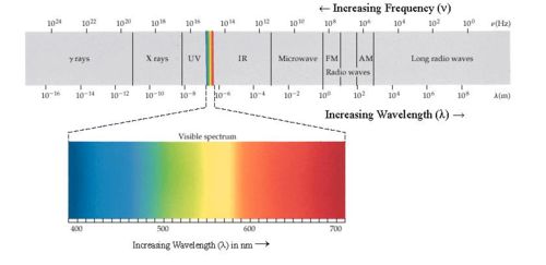 Electromagnetic spectrum with light highlighted