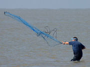Fishing with a cast net.